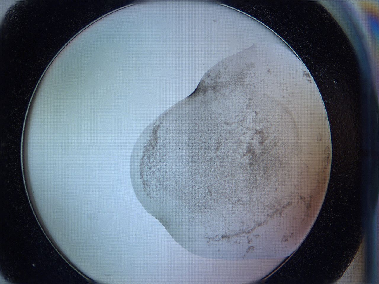 05w7_H10_ImagerDefaults_3.jpg