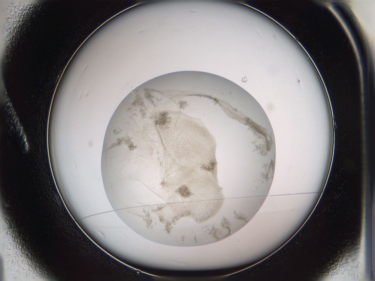 05w8_A1_ImagerDefaults_3.jpg