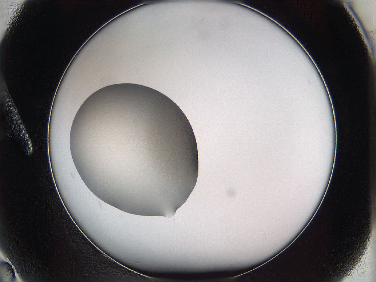 05w8_A2_ImagerDefaults_2.jpg