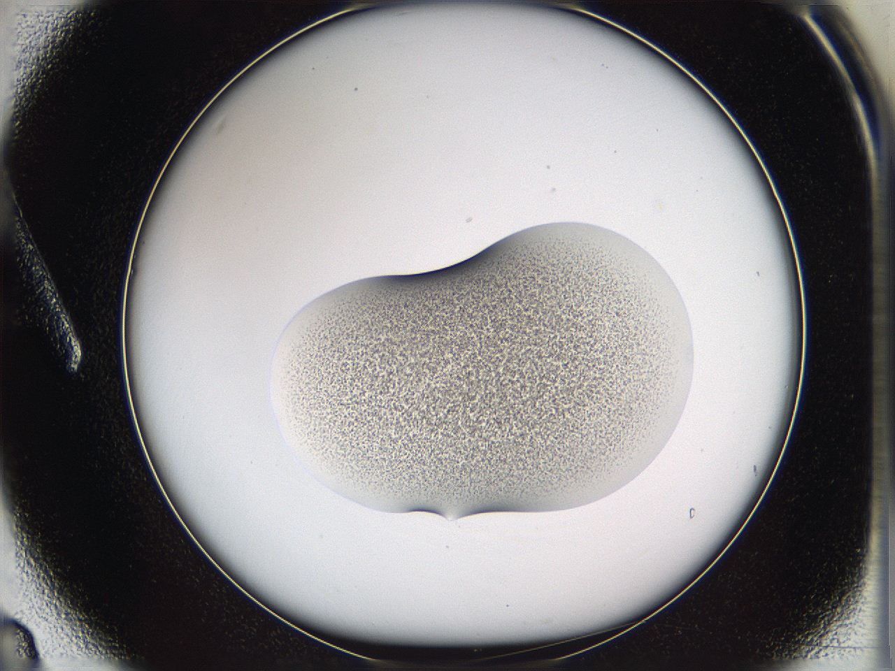 05w8_A3_ImagerDefaults_3.jpg