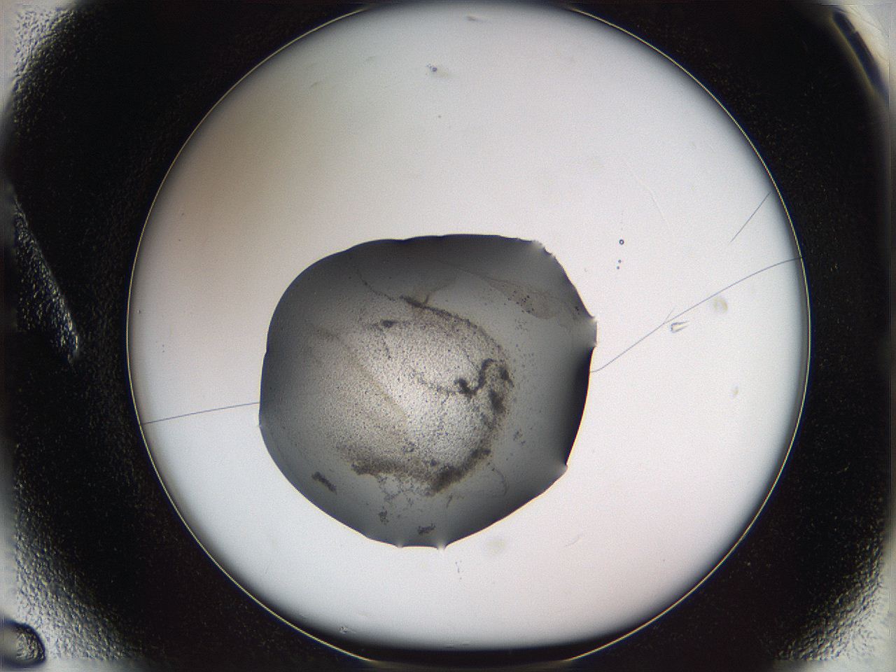 05w8_A6_ImagerDefaults_3.jpg