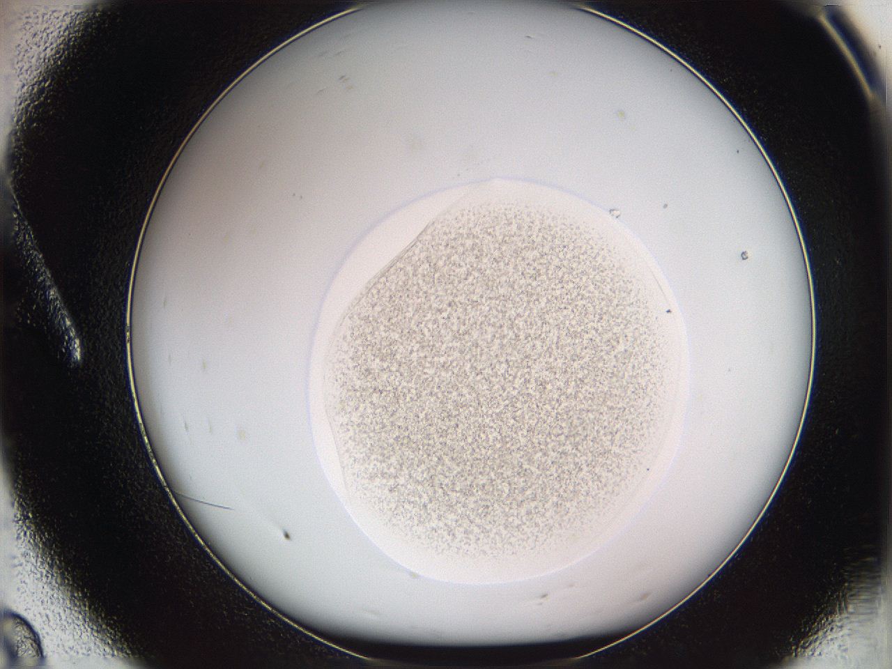 05w8_A8_ImagerDefaults_3.jpg