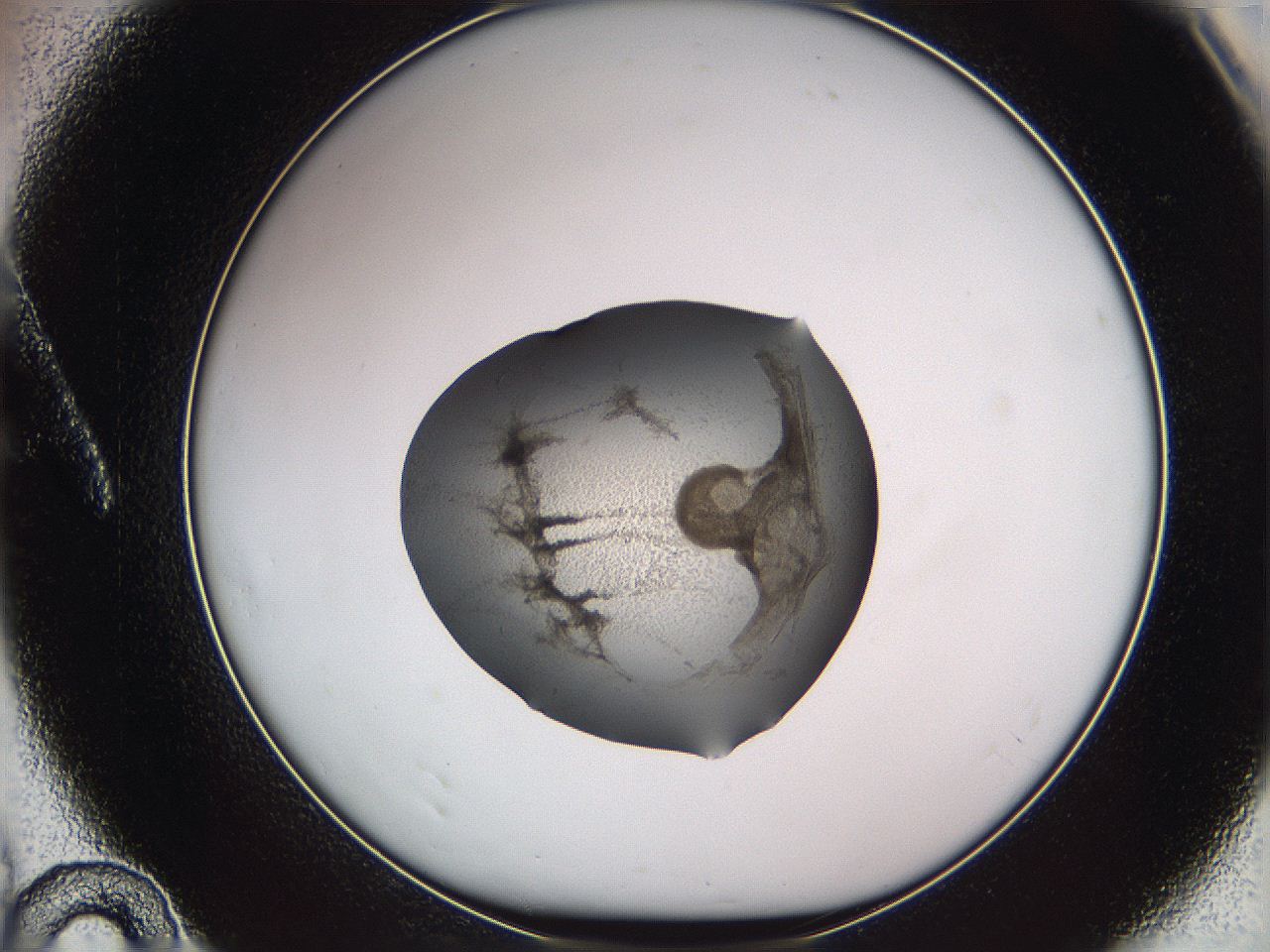 05w8_A10_ImagerDefaults_3.jpg