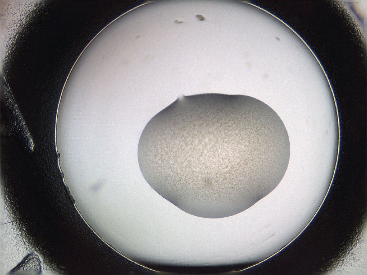 05w8_A11_ImagerDefaults_3.jpg