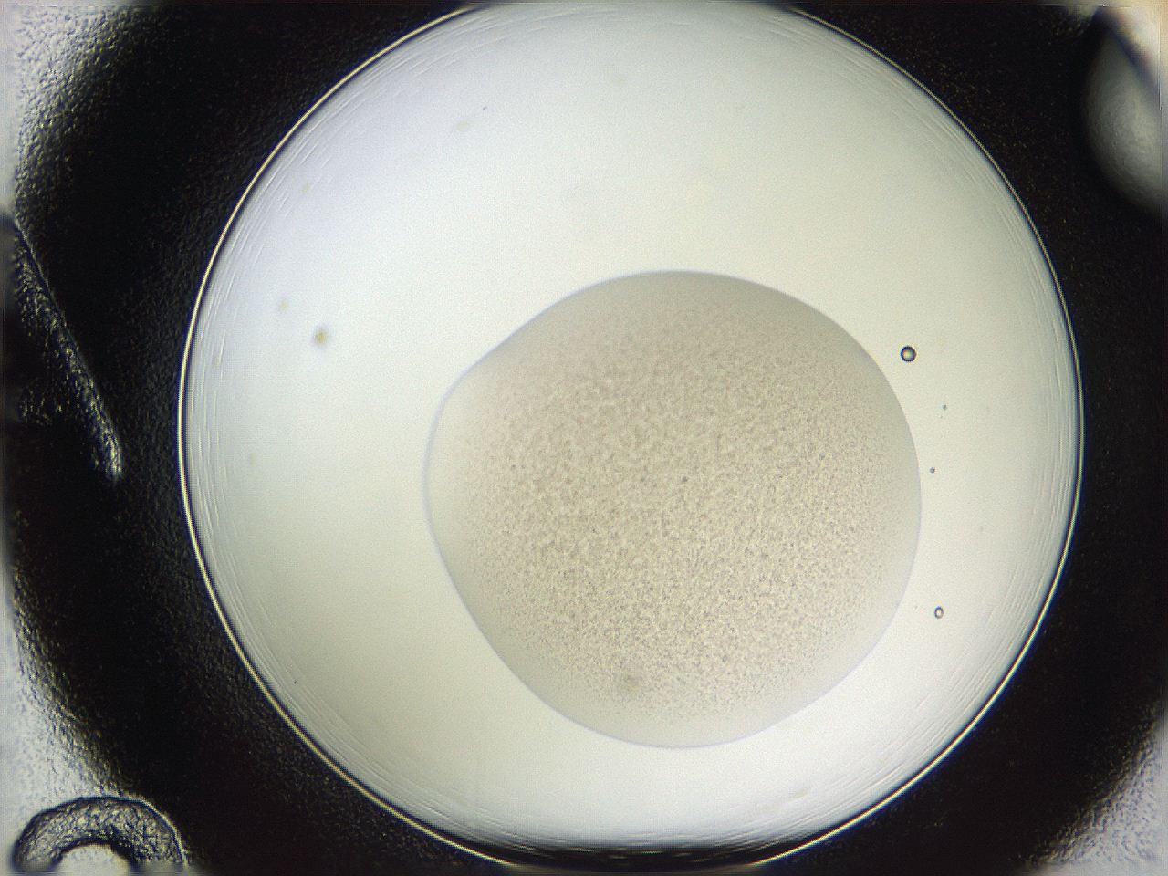 05w8_A12_ImagerDefaults_3.jpg