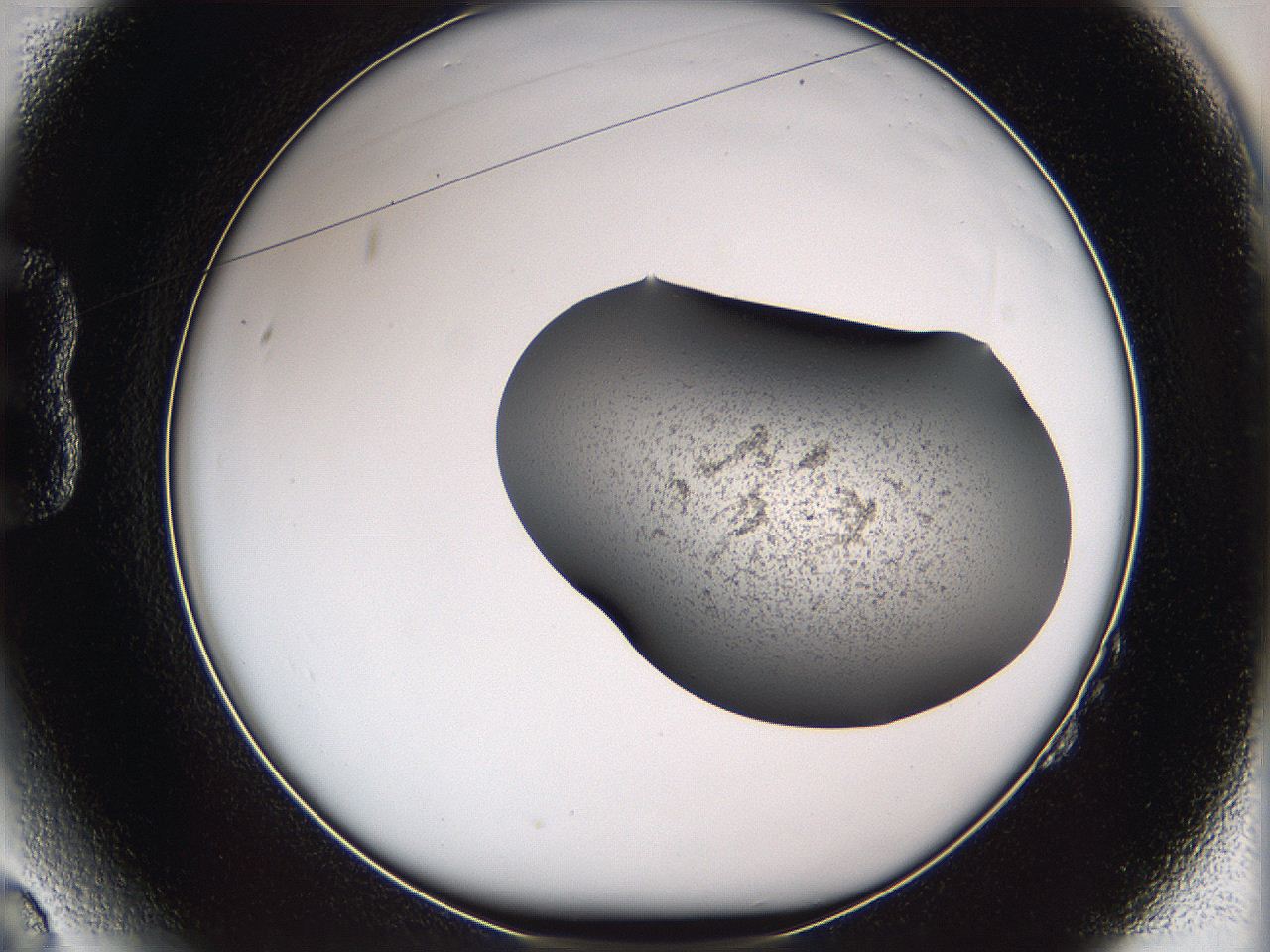 05w8_B2_ImagerDefaults_3.jpg