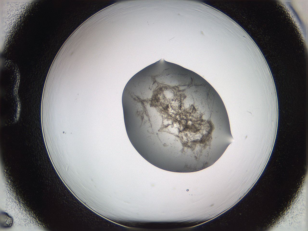 05w8_B6_ImagerDefaults_3.jpg