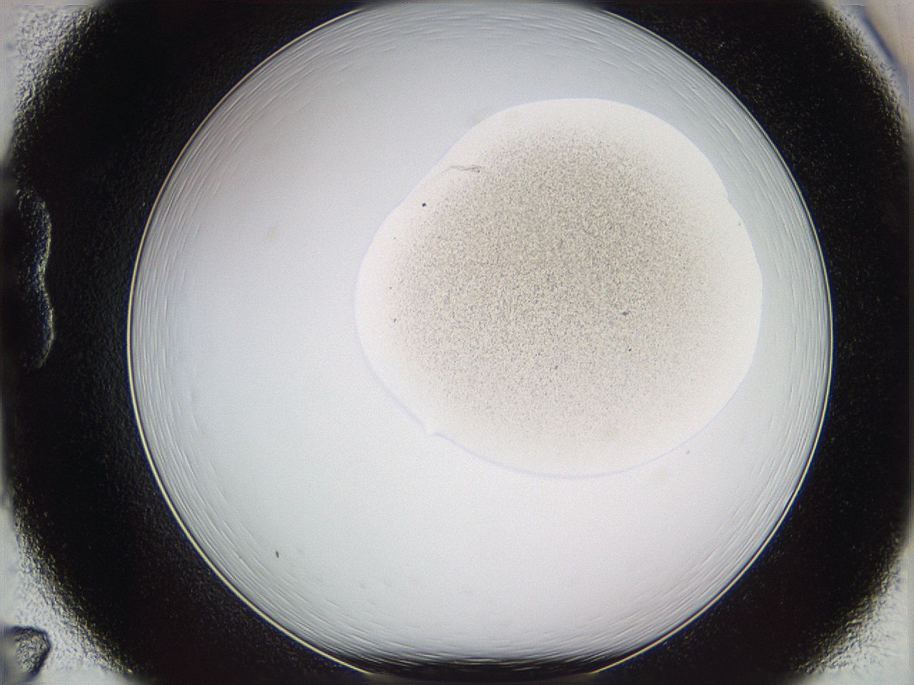 05w8_B7_ImagerDefaults_3.jpg