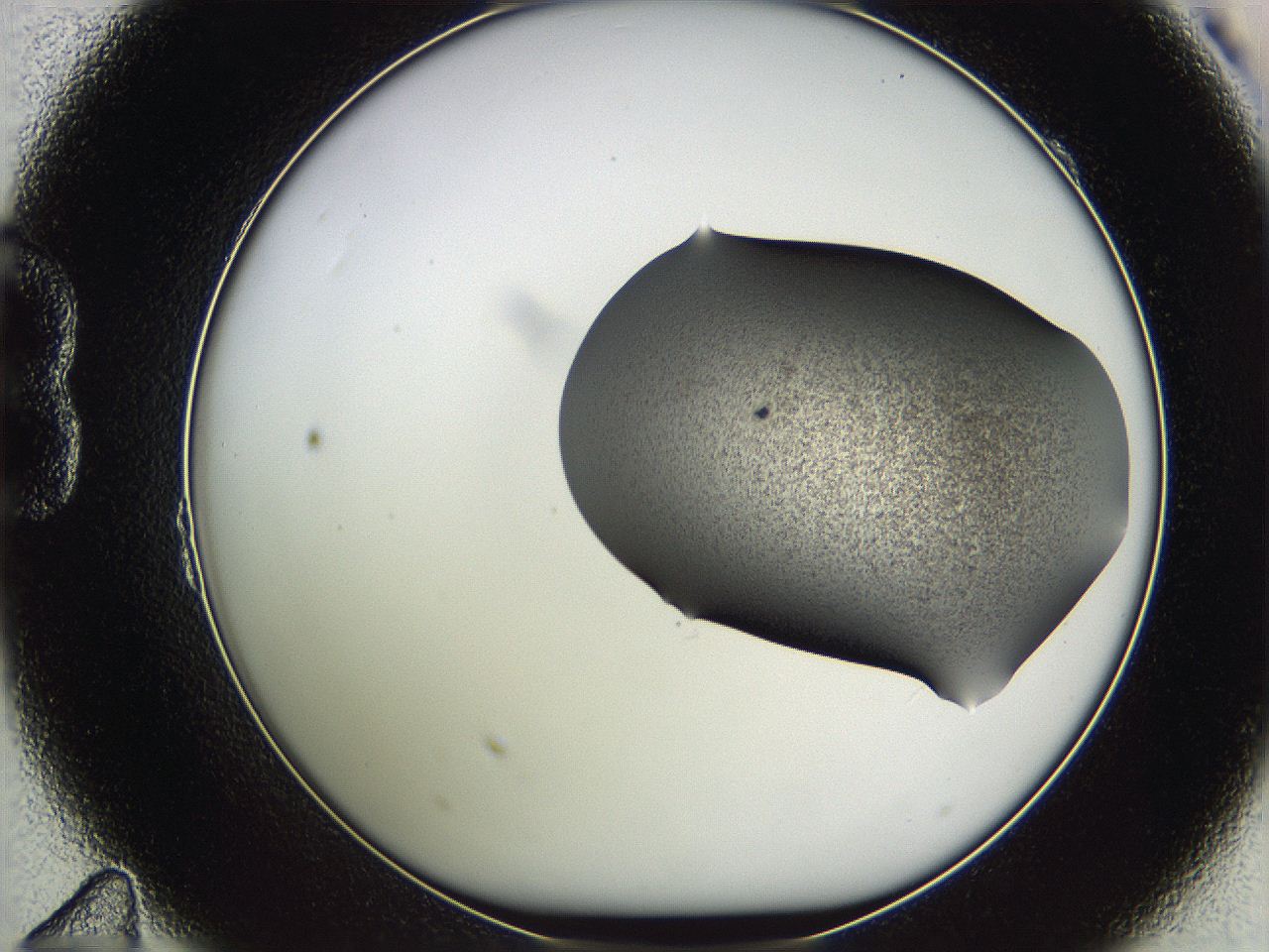 05w8_B11_ImagerDefaults_3.jpg