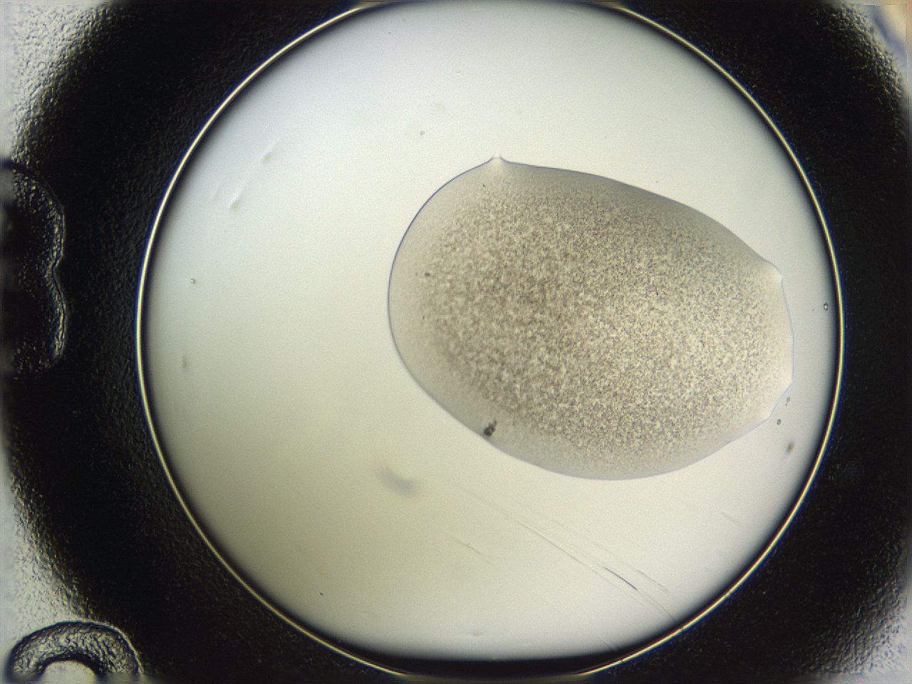 05w8_B12_ImagerDefaults_3.jpg