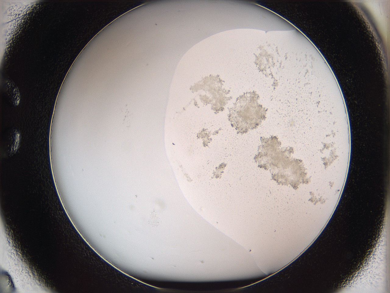 05w8_C2_ImagerDefaults_3.jpg