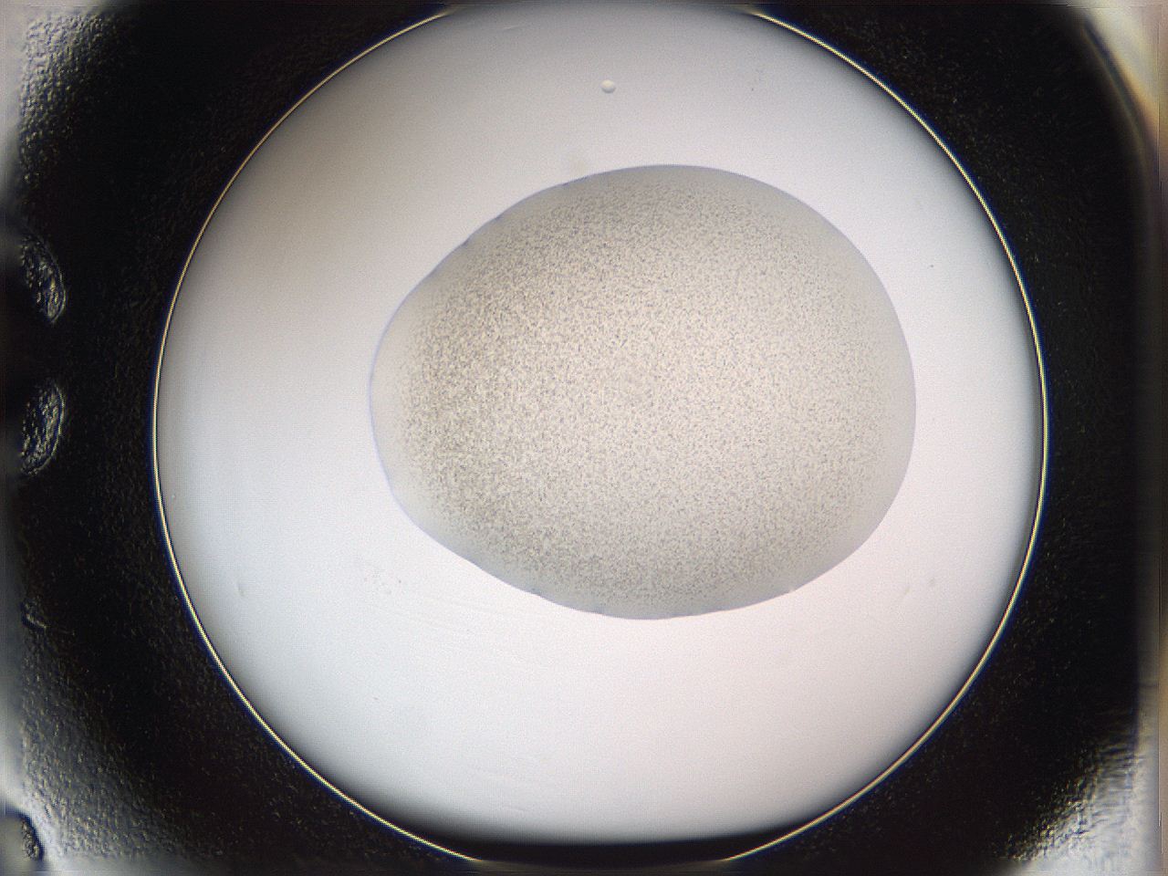 05w8_C3_ImagerDefaults_3.jpg