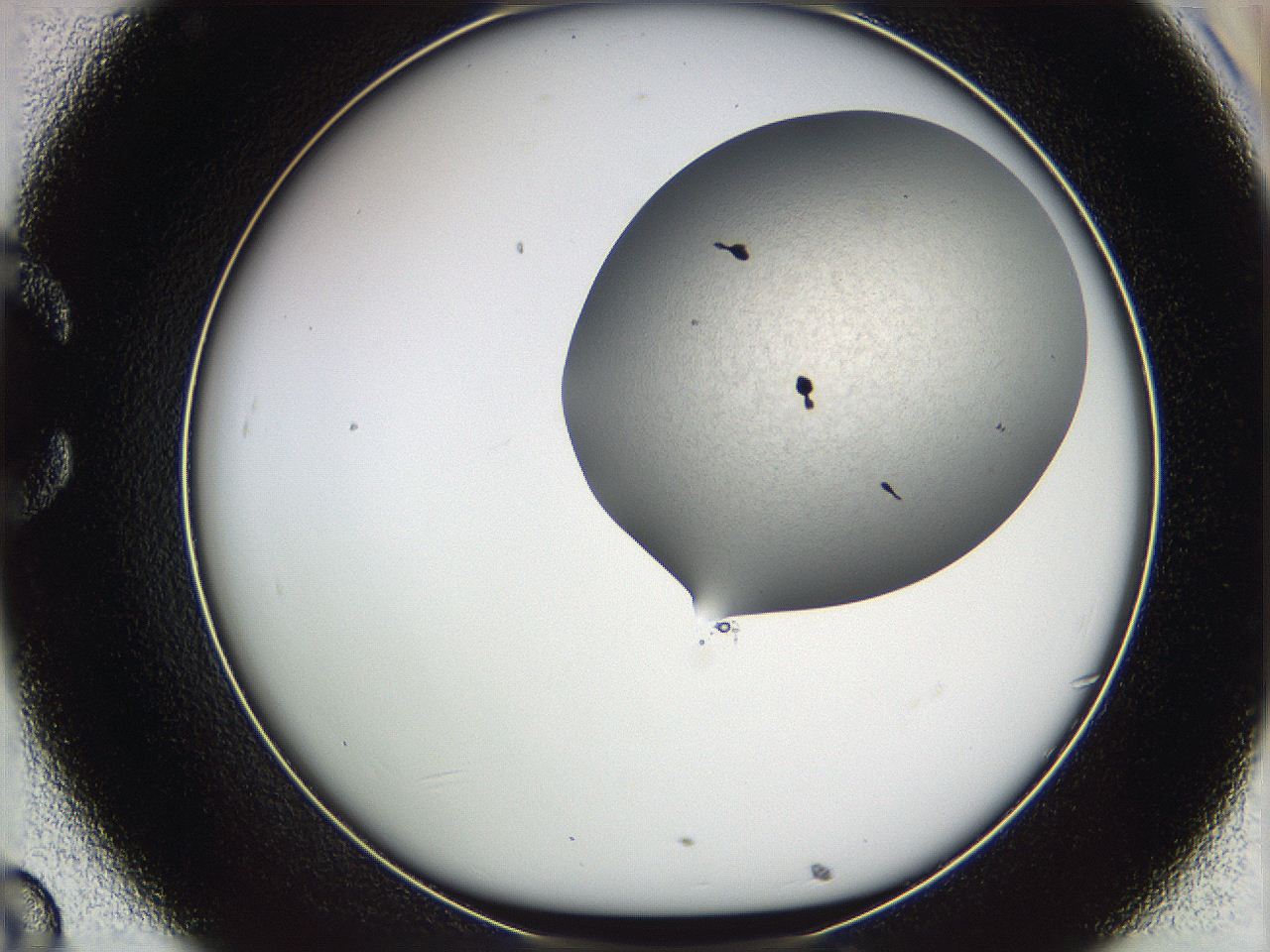 05w8_C8_ImagerDefaults_5.jpg