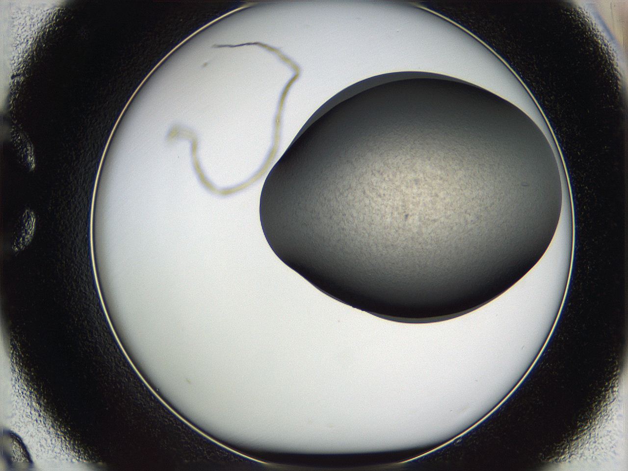 05w8_C9_ImagerDefaults_3.jpg