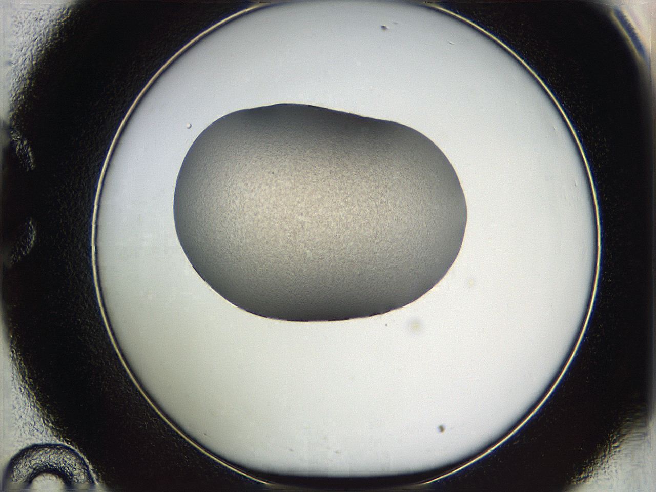 05w8_C10_ImagerDefaults_3.jpg