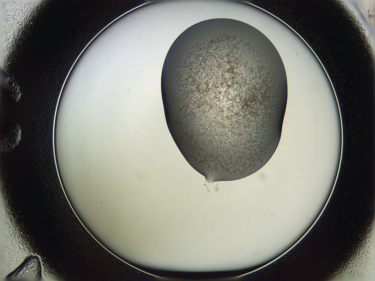 05w8_C11_ImagerDefaults_3.jpg