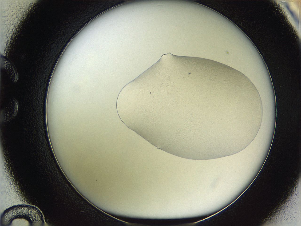 05w8_C12_ImagerDefaults_3.jpg