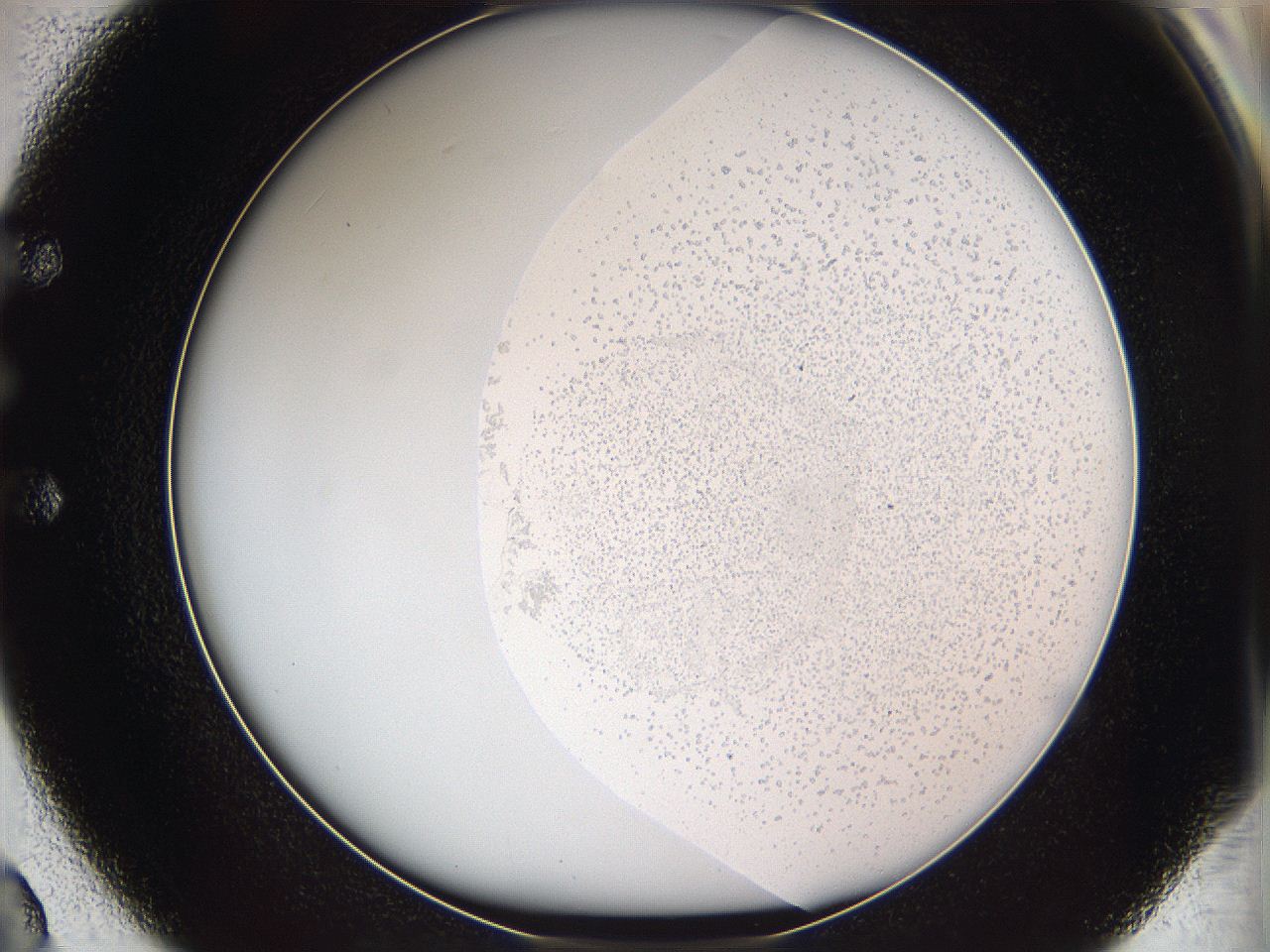 05w8_E2_ImagerDefaults_3.jpg