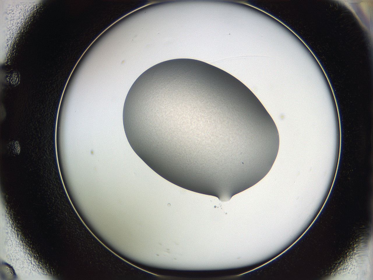 05w8_E9_ImagerDefaults_3.jpg