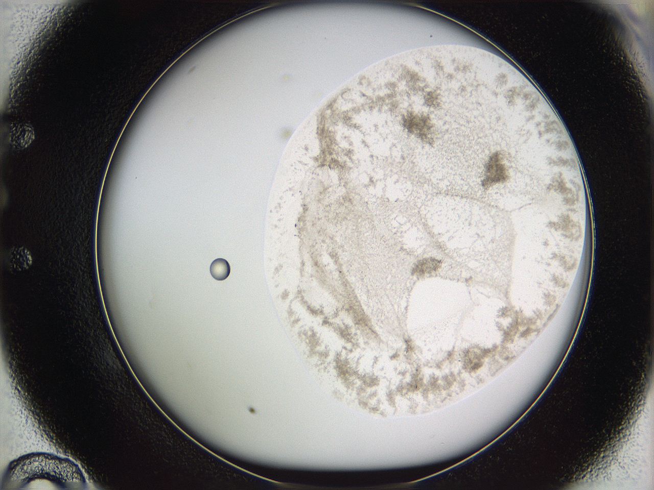 05w8_E10_ImagerDefaults_3.jpg