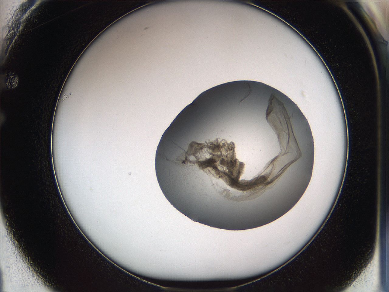 05w8_F1_ImagerDefaults_3.jpg
