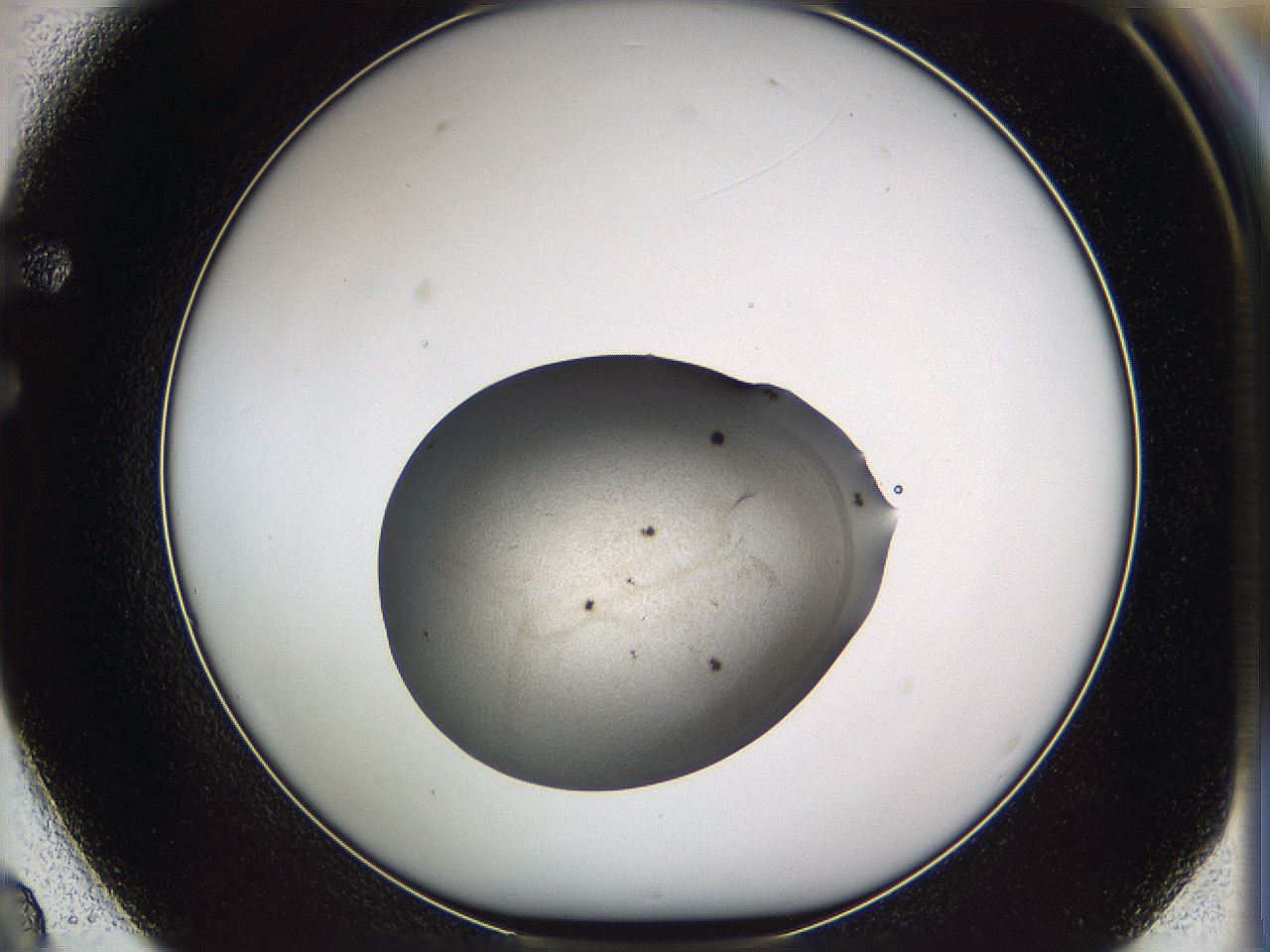 05w8_F2_ImagerDefaults_5.jpg