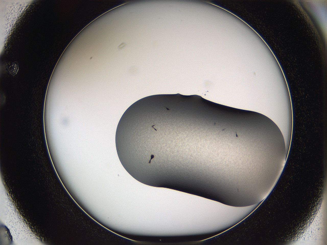 05w8_F3_ImagerDefaults_5.jpg
