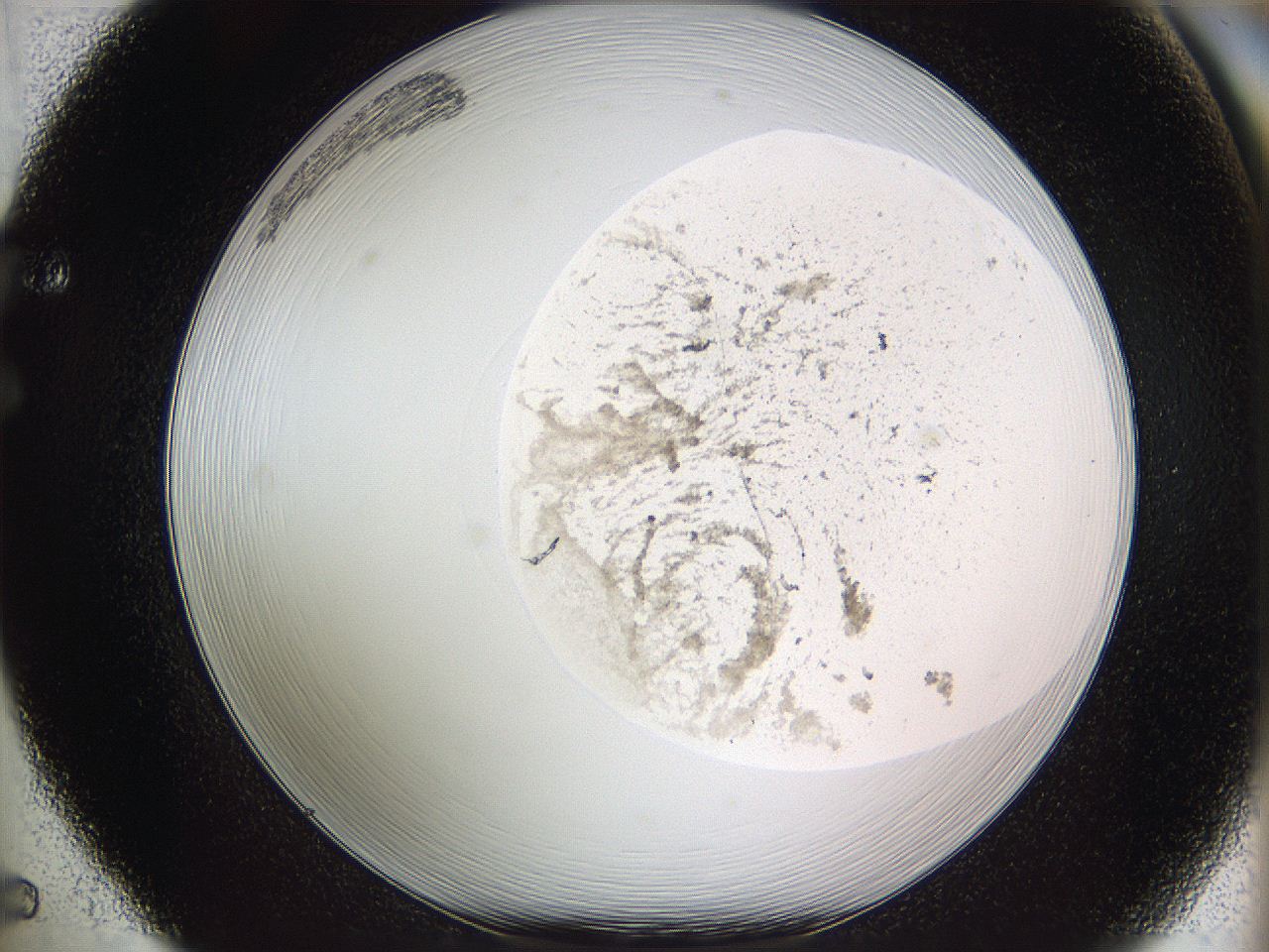 05w8_F5_ImagerDefaults_3.jpg