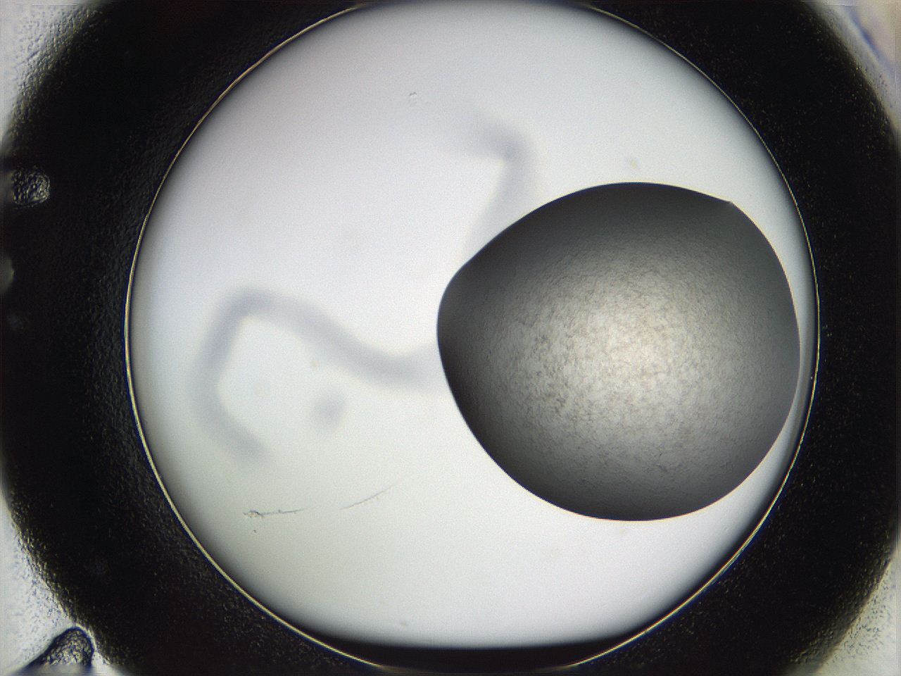 05w8_F11_ImagerDefaults_3.jpg