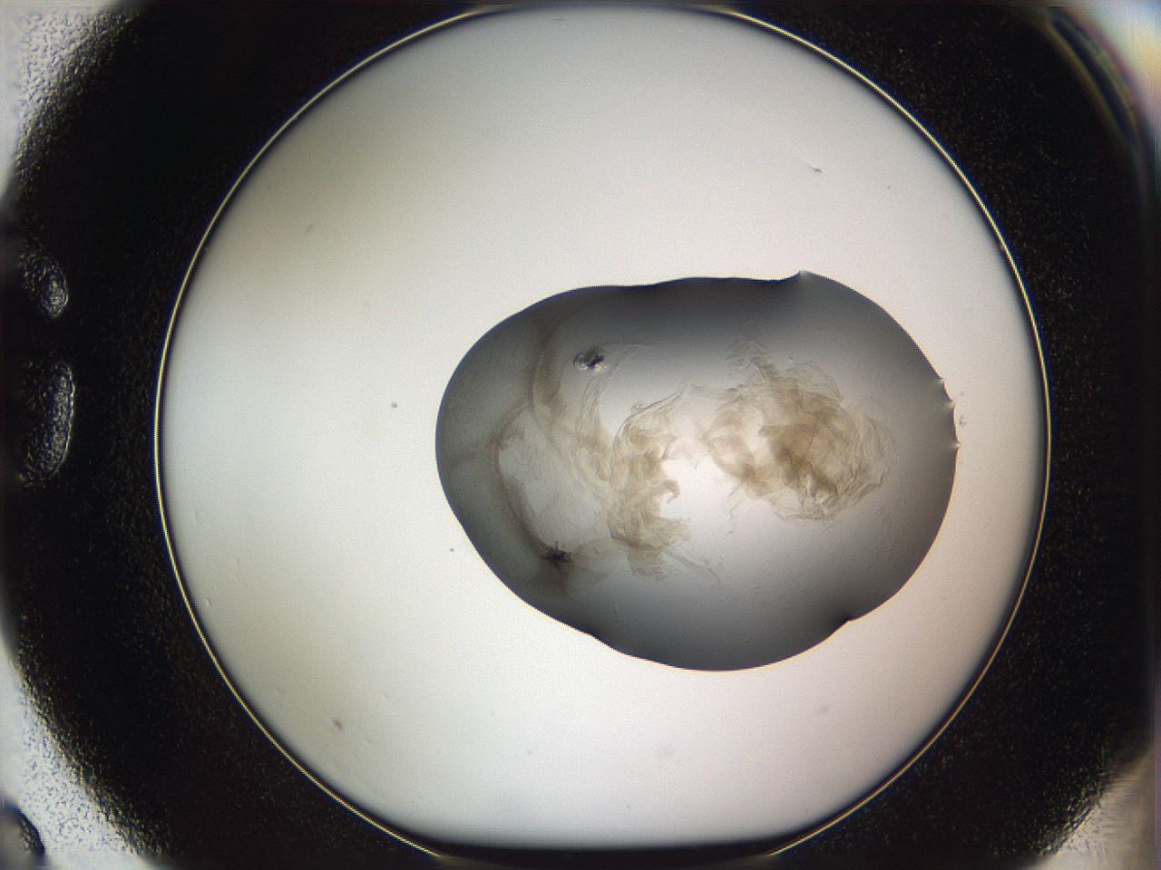 05w8_G3_ImagerDefaults_5.jpg
