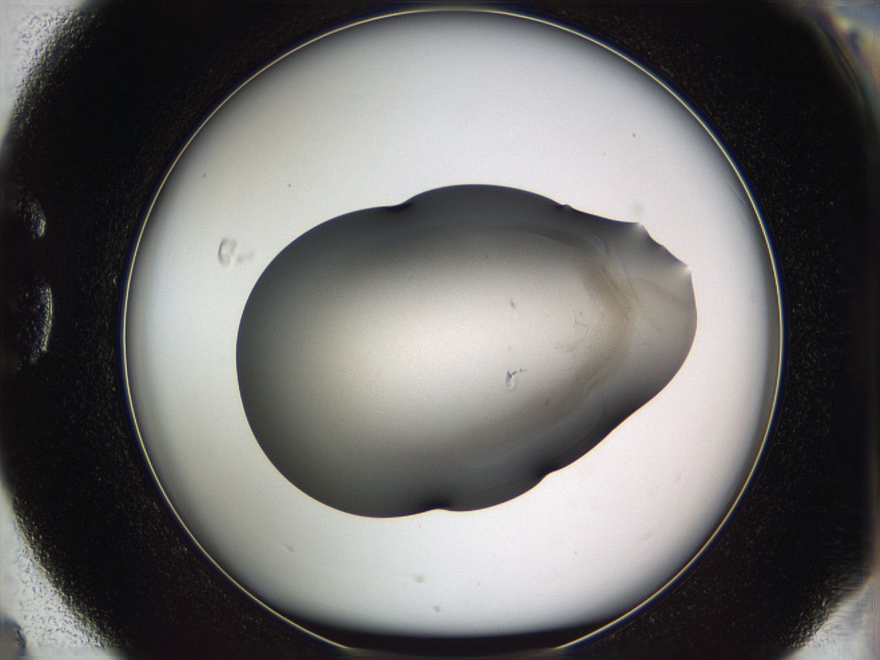 05w8_G4_ImagerDefaults_3.jpg