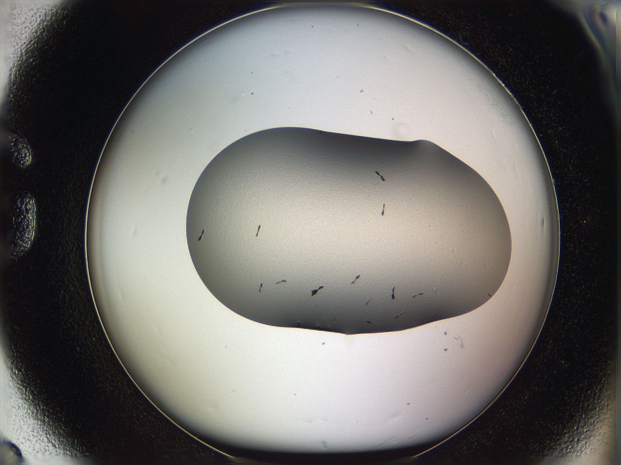 05w8_G8_ImagerDefaults_5.jpg