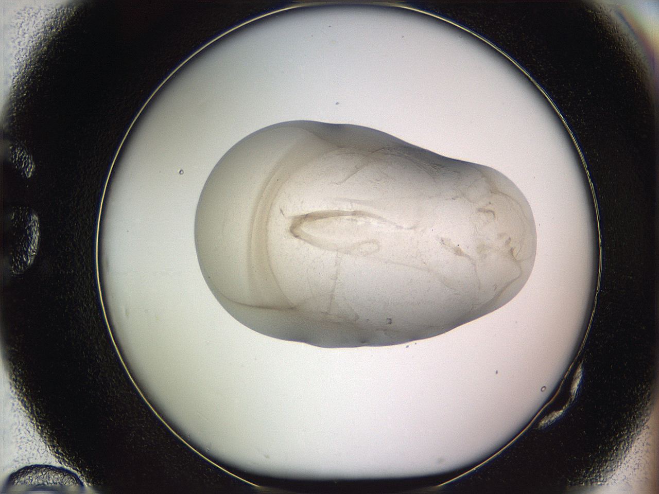 05w8_G10_ImagerDefaults_3.jpg