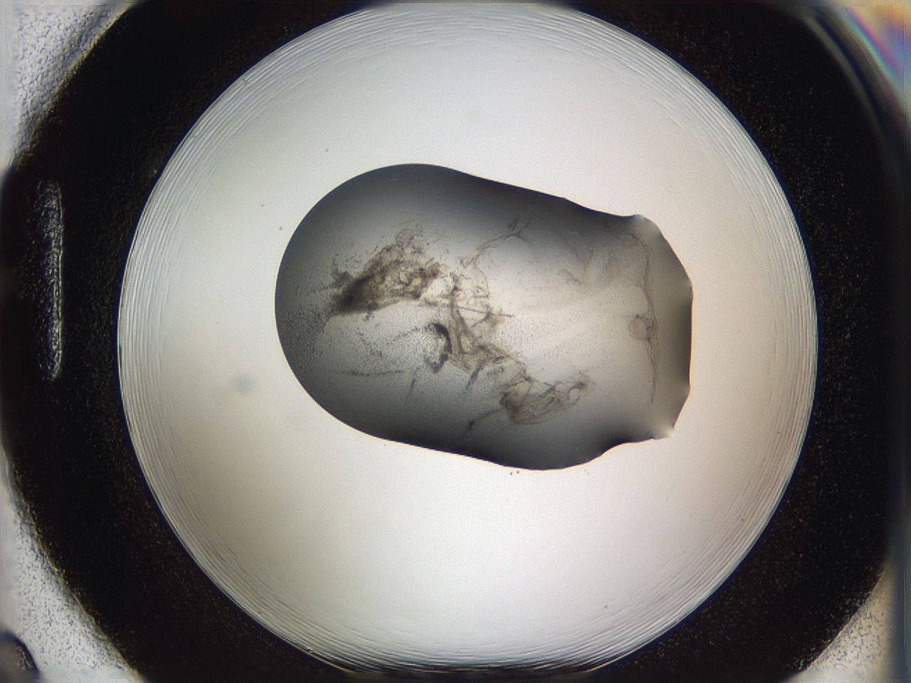 05w8_H2_ImagerDefaults_3.jpg
