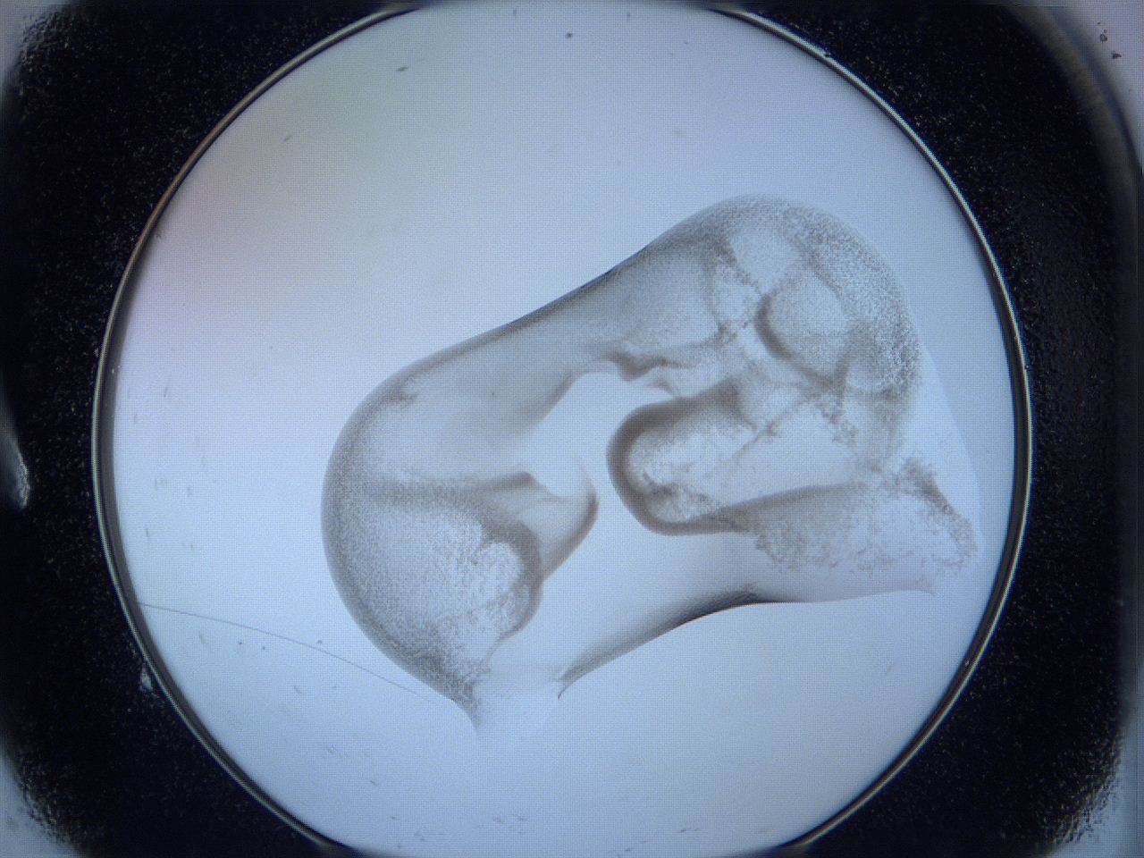05w9_A9_ImagerDefaults_3.jpg