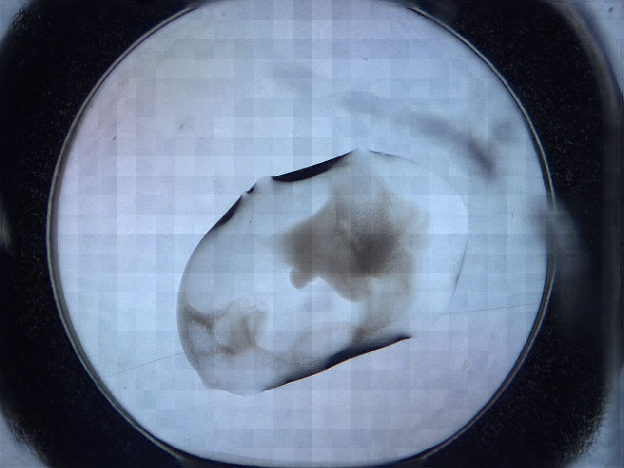 05w9_A4_ImagerDefaults_3.jpg