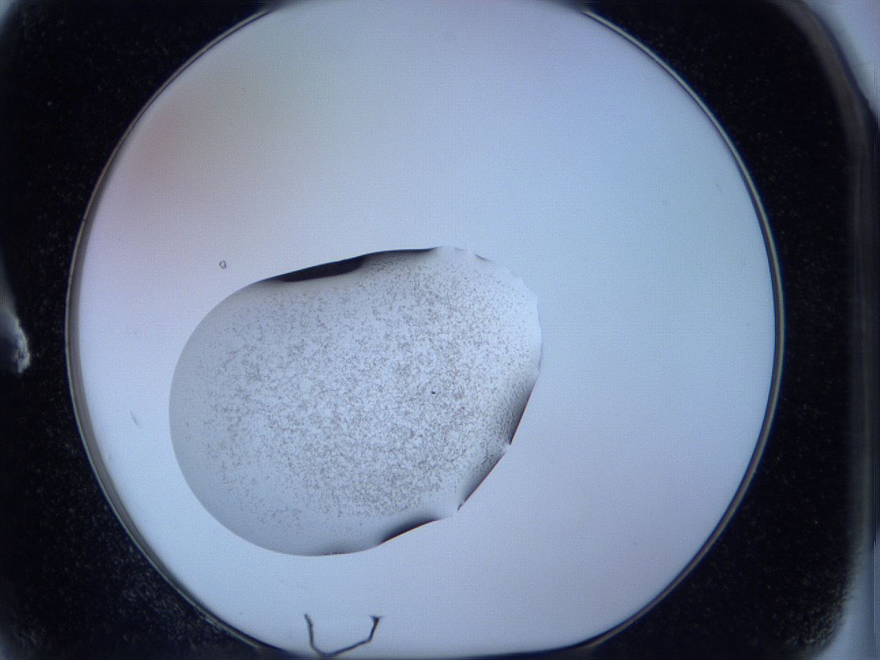 05w9_A2_ImagerDefaults_3.jpg