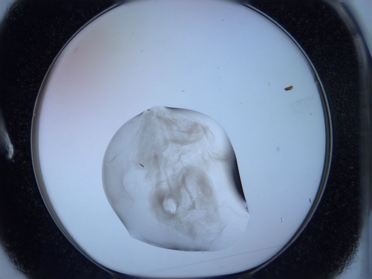 05w9_A3_ImagerDefaults_3.jpg