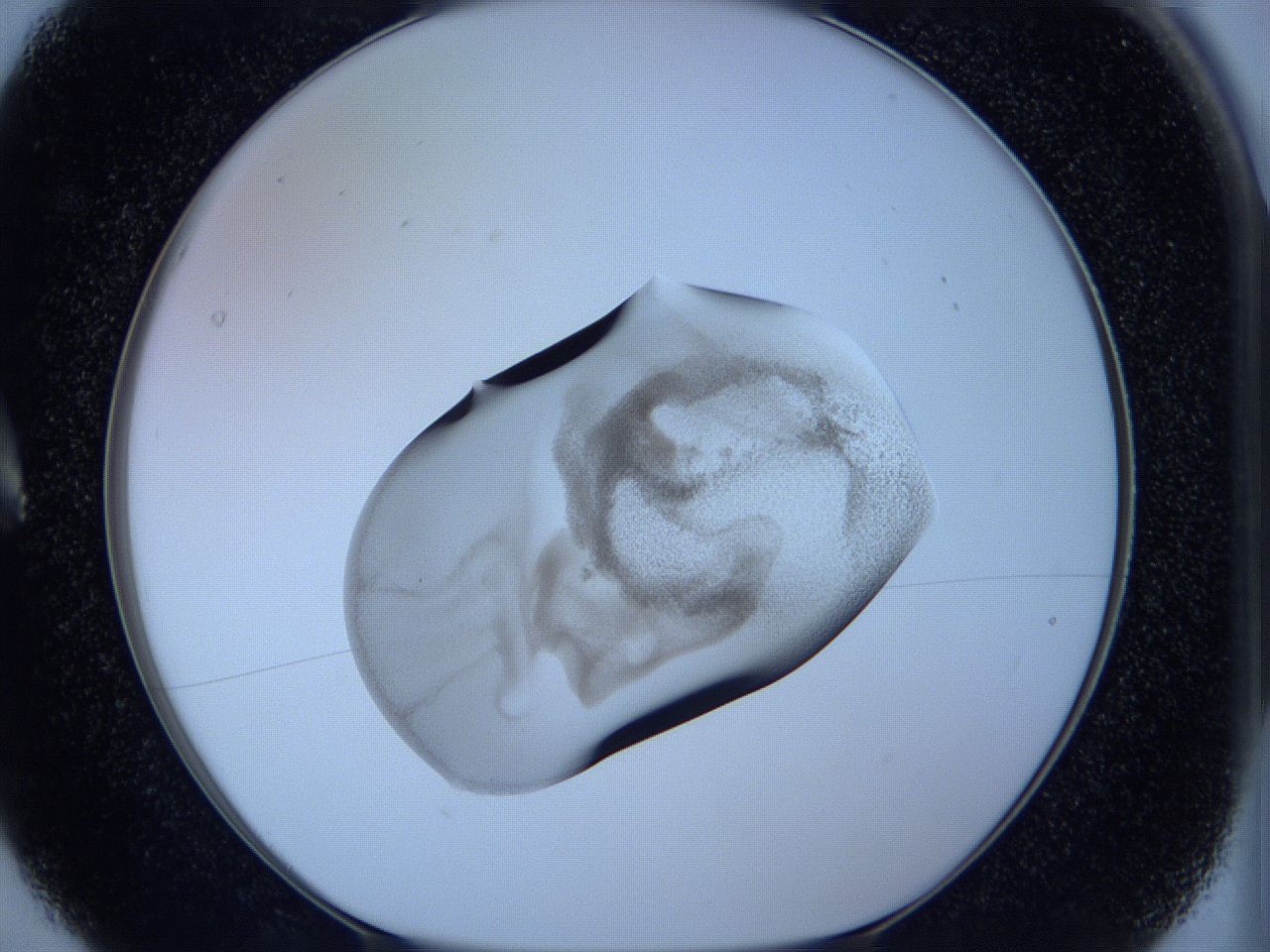 05w9_A5_ImagerDefaults_3.jpg