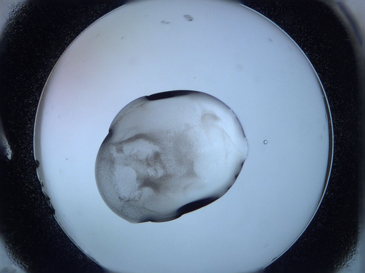 05w9_A11_ImagerDefaults_3.jpg