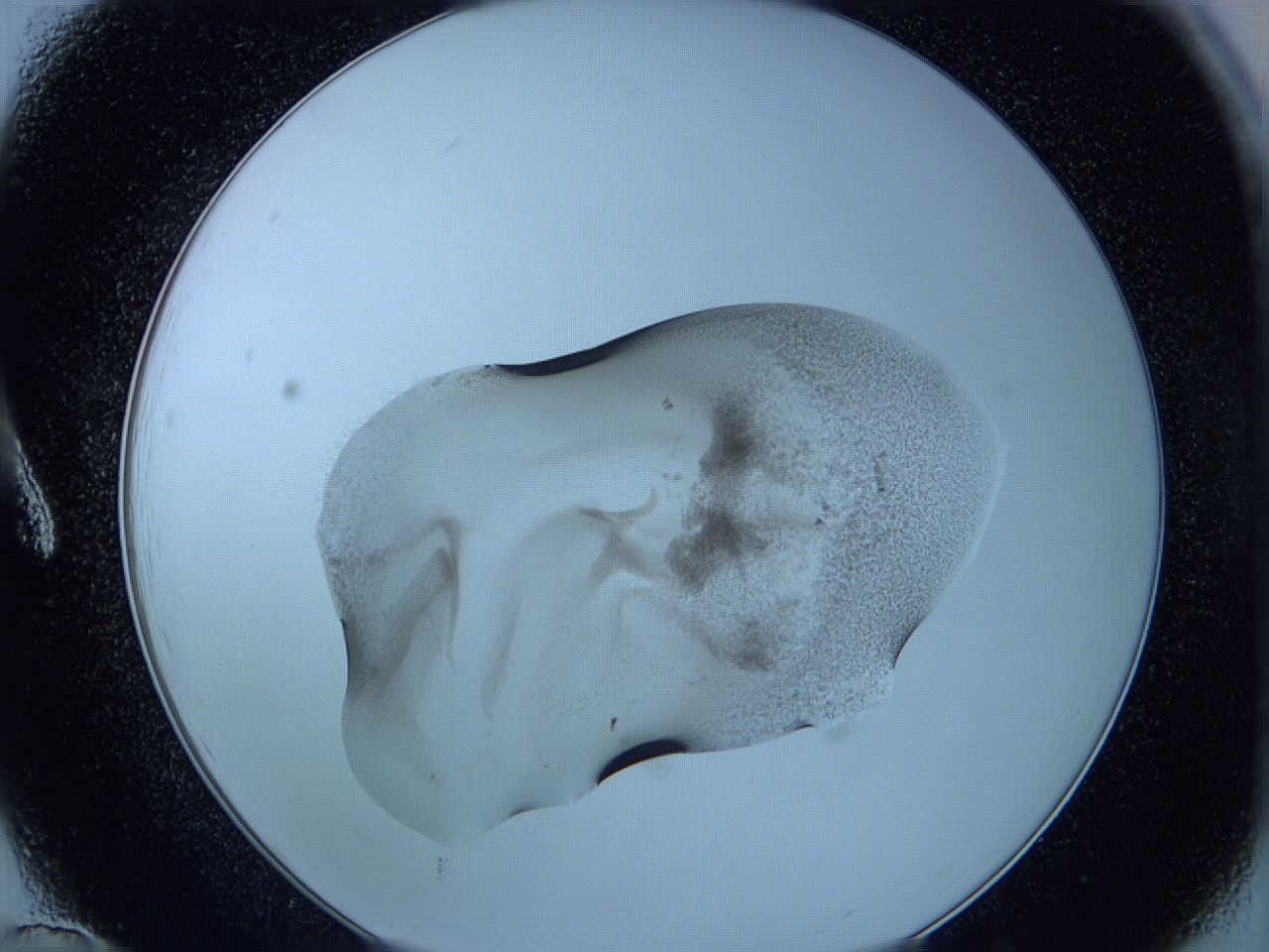 05w9_A12_ImagerDefaults_3.jpg