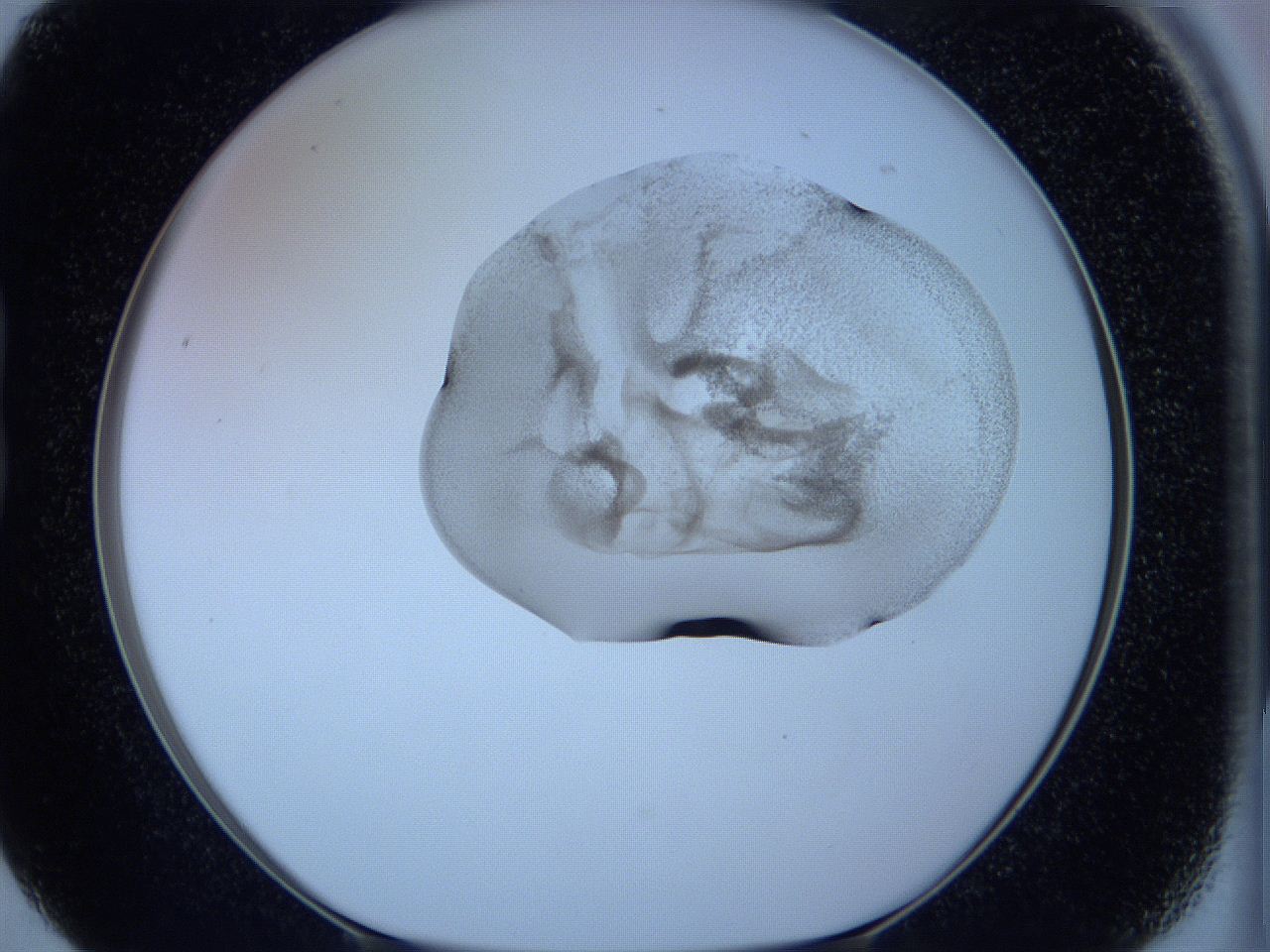 05w9_B5_ImagerDefaults_3.jpg