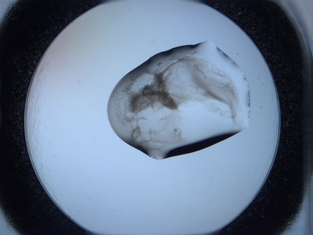05w9_B7_ImagerDefaults_3.jpg