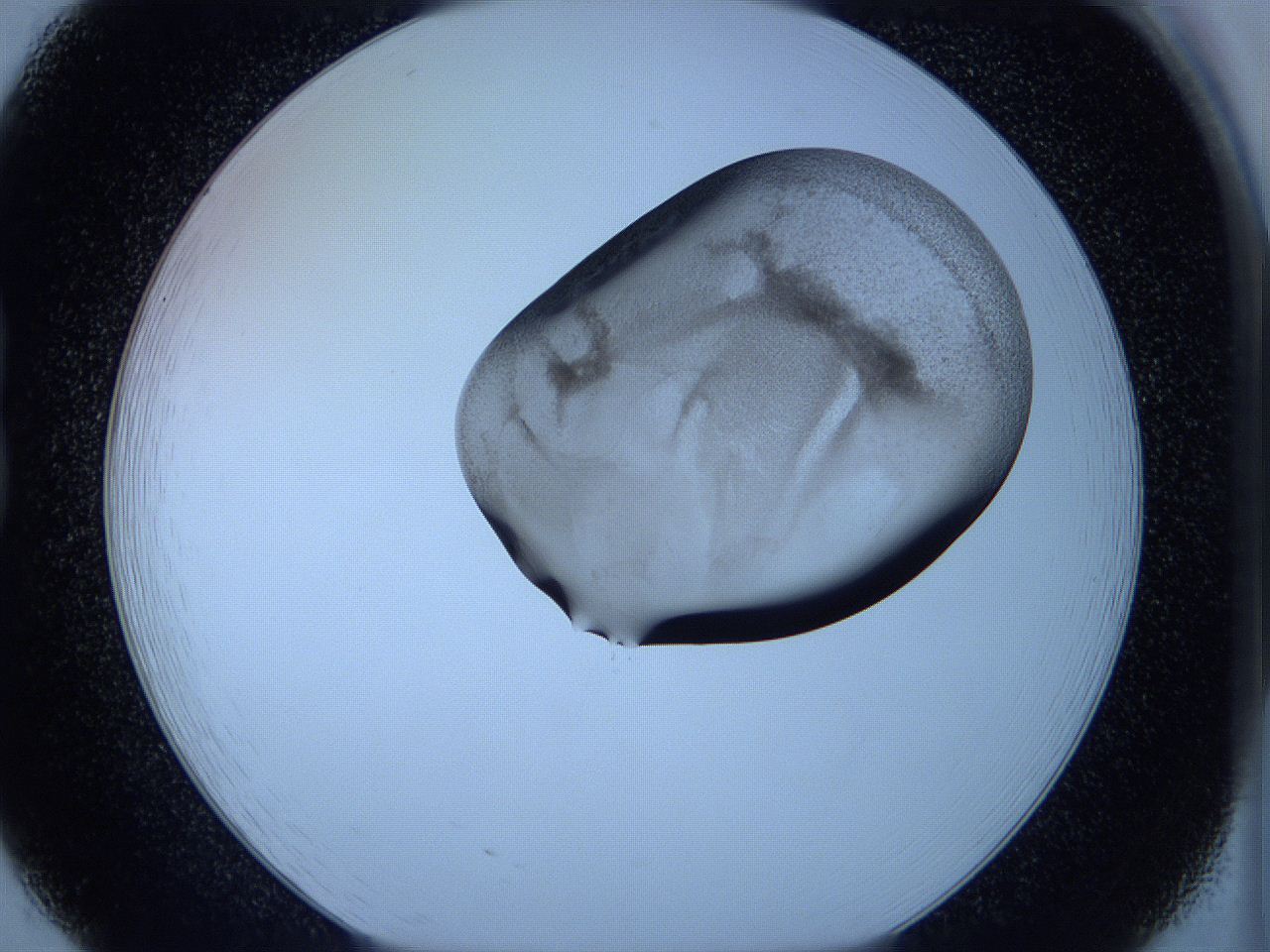 05w9_B8_ImagerDefaults_3.jpg