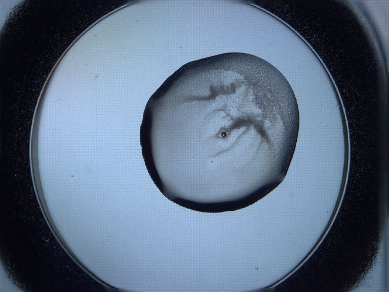 05w9_B9_ImagerDefaults_3.jpg