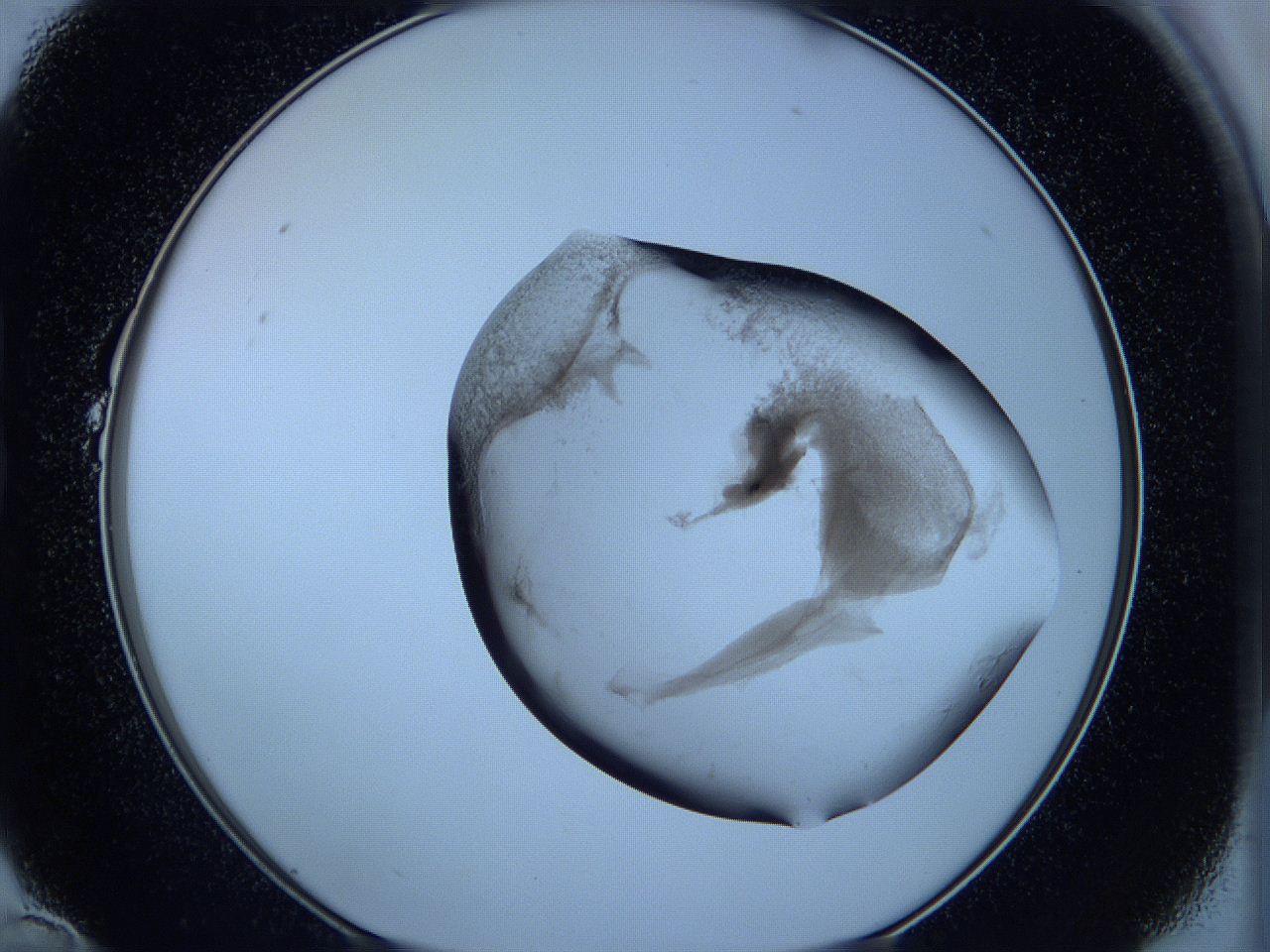 05w9_B10_ImagerDefaults_3.jpg