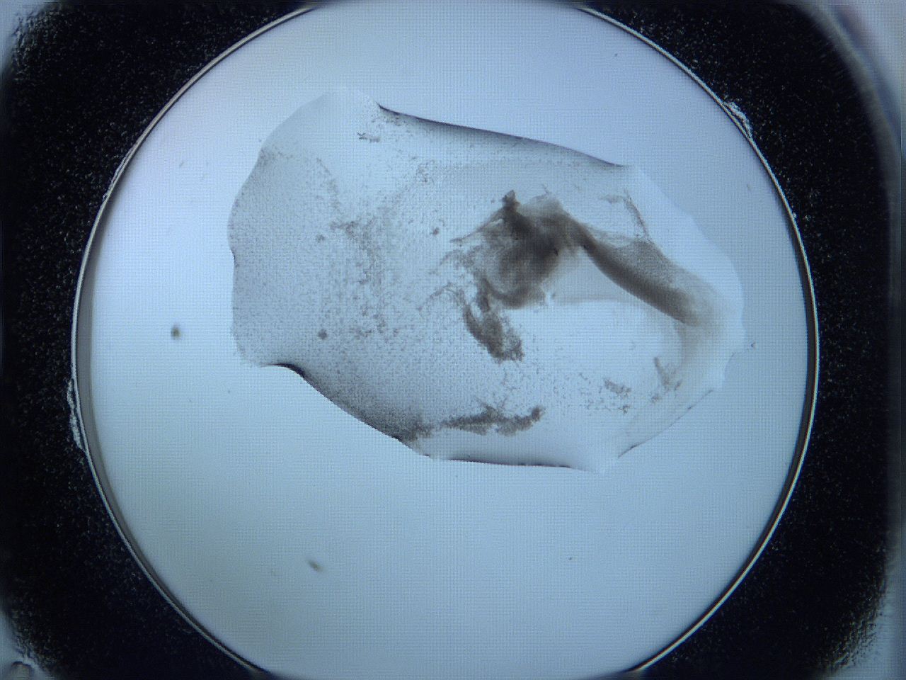 05w9_B11_ImagerDefaults_3.jpg