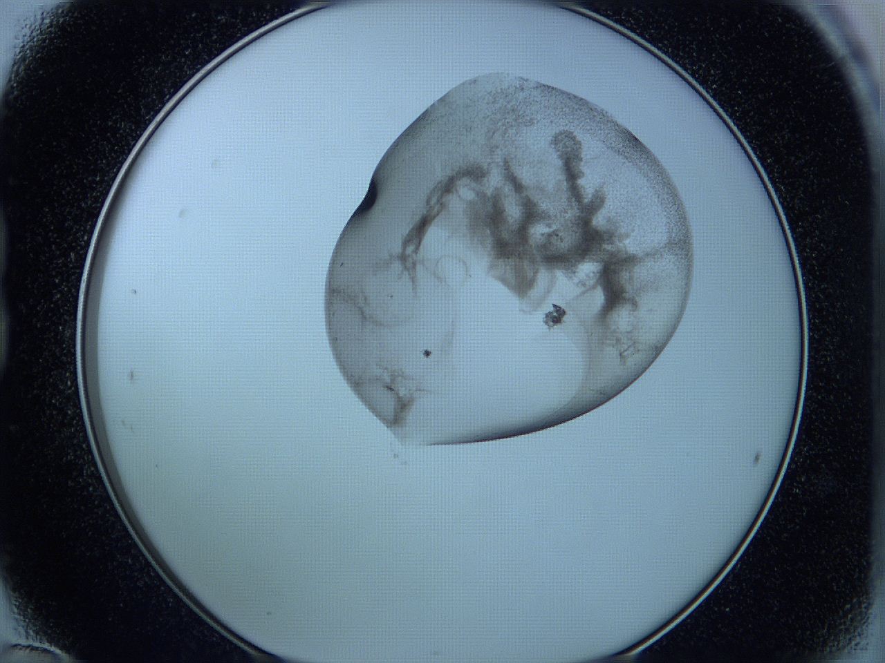 05w9_B12_ImagerDefaults_3.jpg