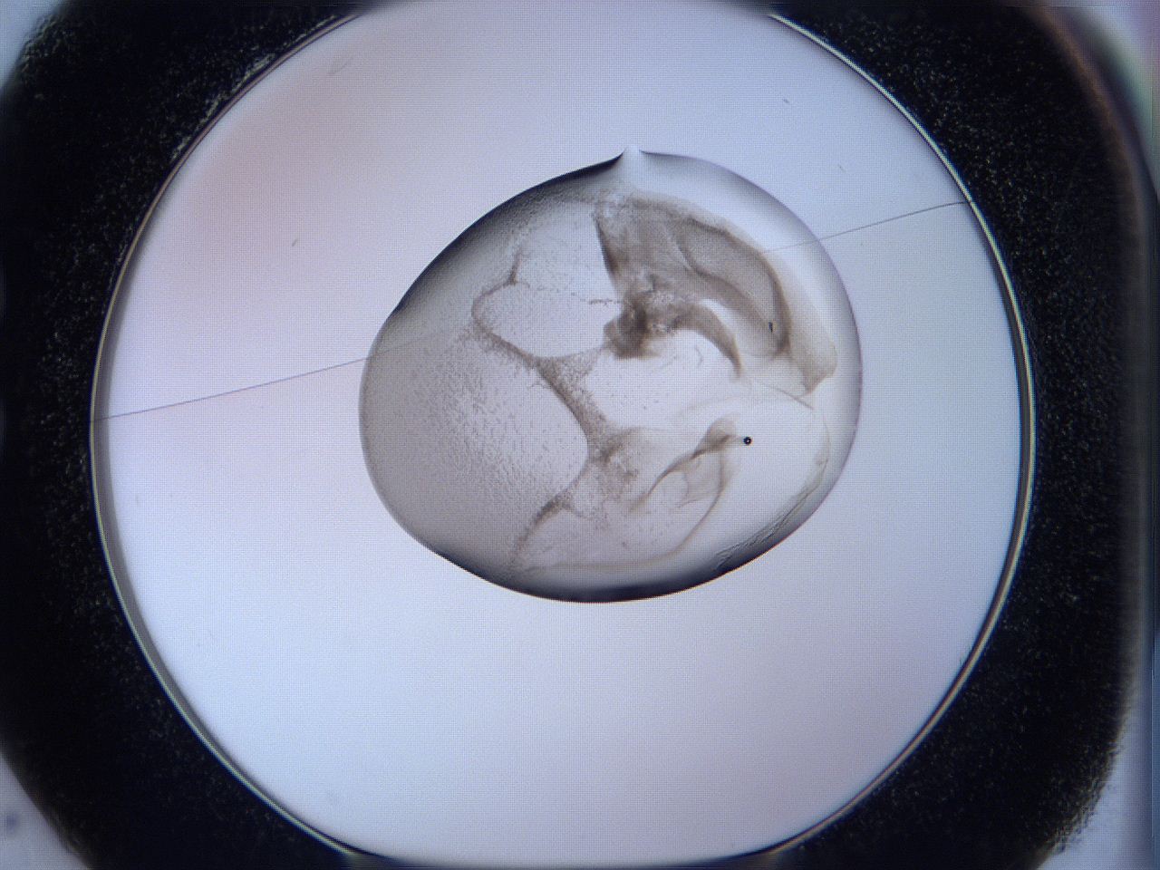 05w9_C1_ImagerDefaults_3.jpg