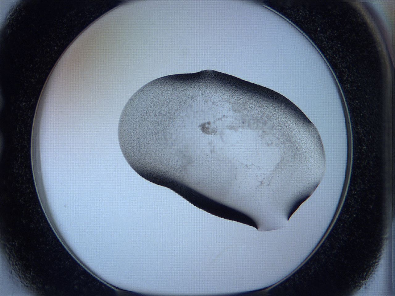 05w9_C3_ImagerDefaults_3.jpg